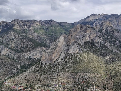 Motivation Monday: Wise Quote from Theodore Roosevelt