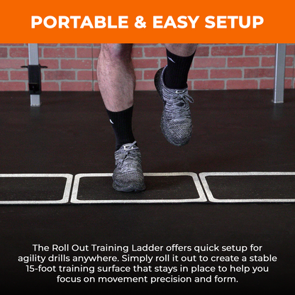 Roll Out Ladder
