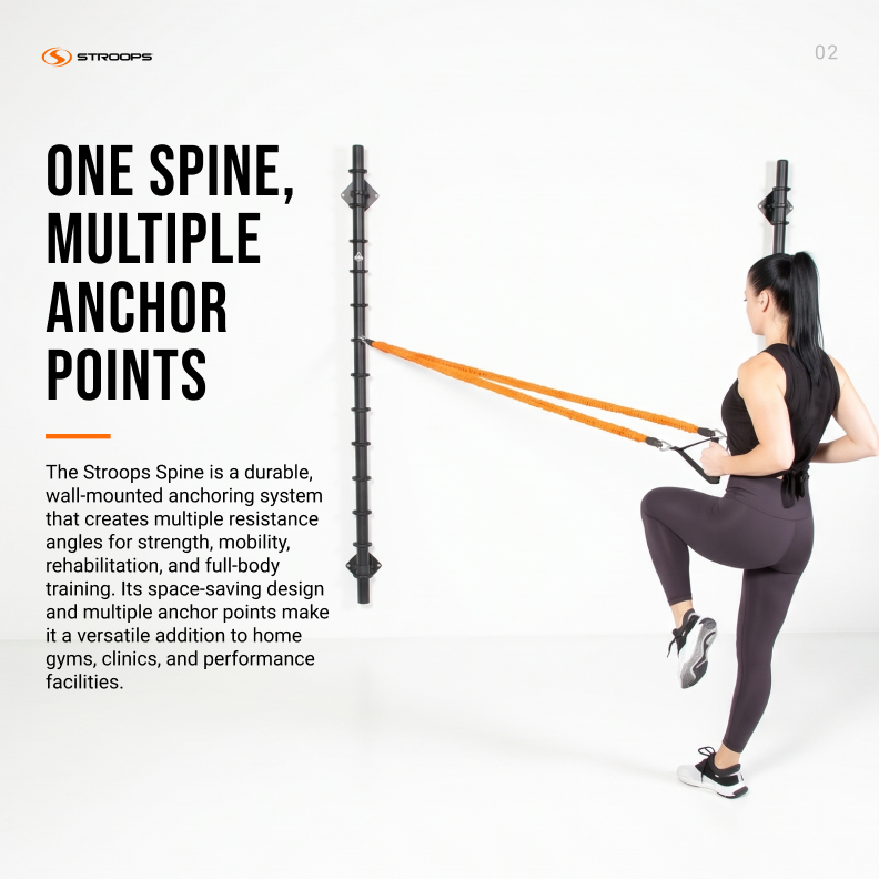 Spine