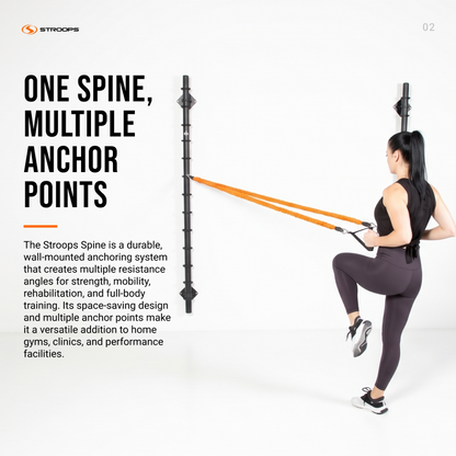 Spine