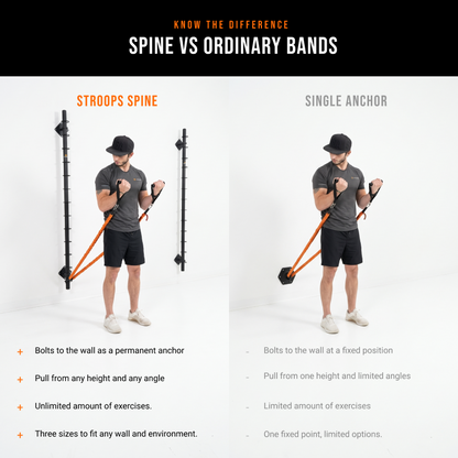 Spine
