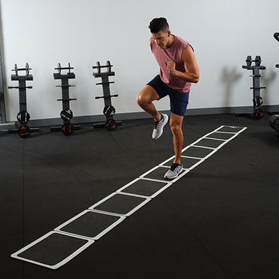 Roll Out Ladder