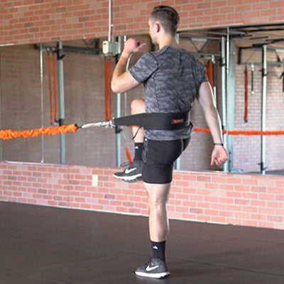 Reverse Lunge with High Knee