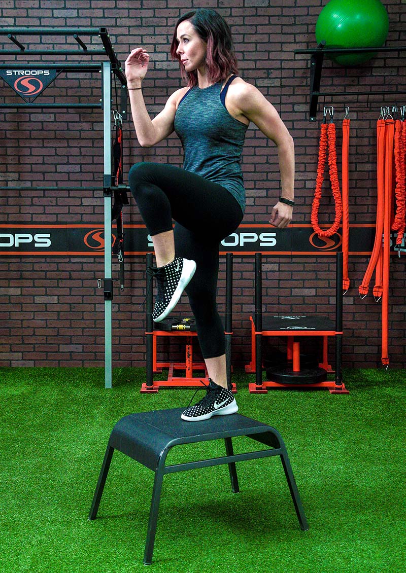stroops coach aly purdy working out with the ergo plyo box