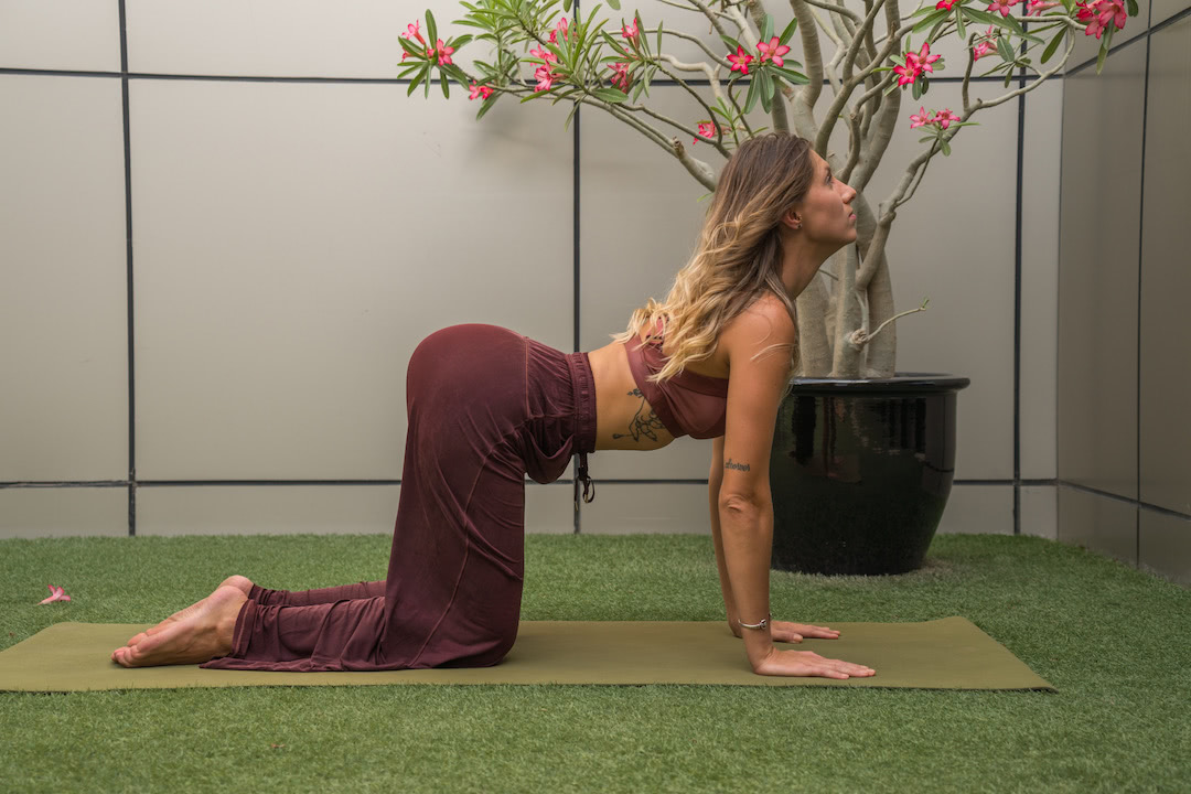 Woman in cow pose doing yoga for back pain.