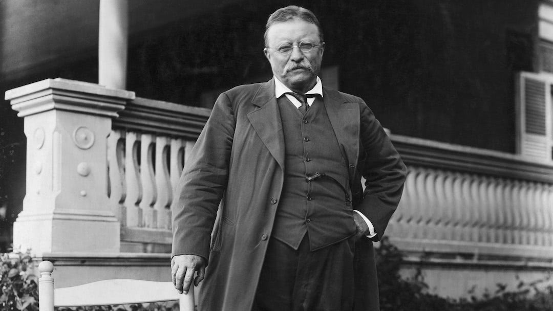 Do what you can, with what you have, where you are. - Theodore "Teddy" Roosevelt